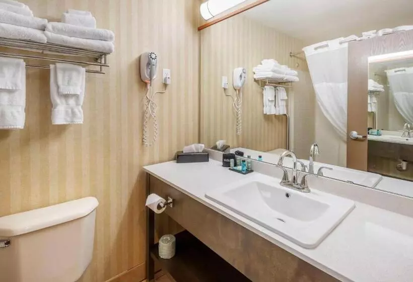 ホテル Surestay Plus By Best Western Enterprise