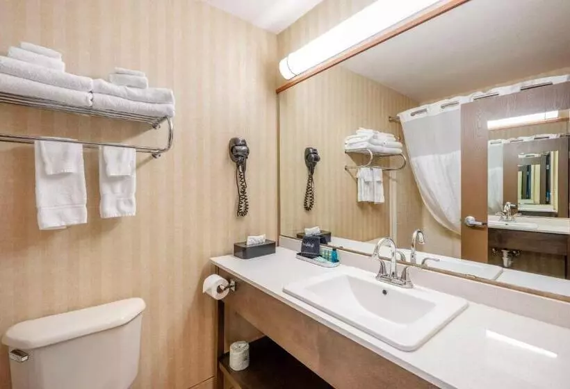 ホテル Surestay Plus By Best Western Enterprise