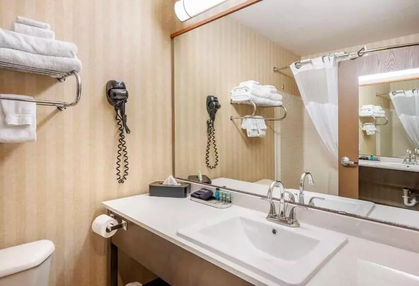 ホテル Surestay Plus By Best Western Enterprise