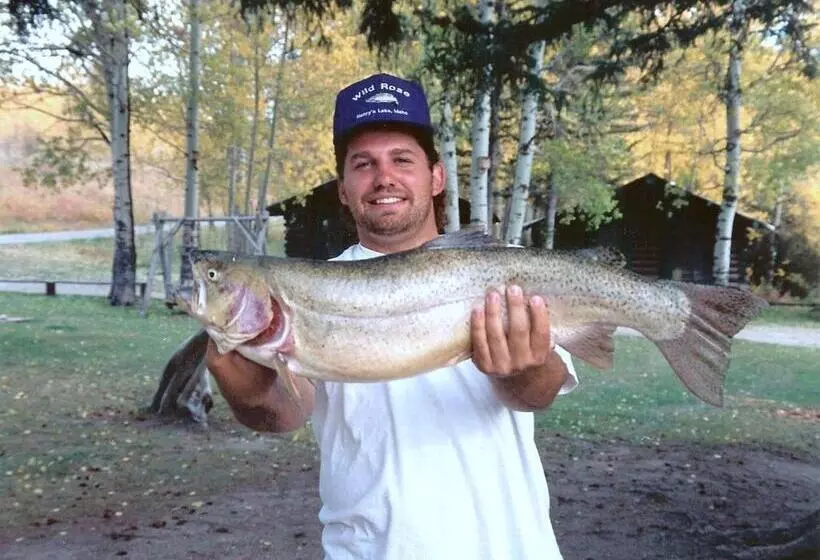 Jared S Wild Rose Ranch Resort