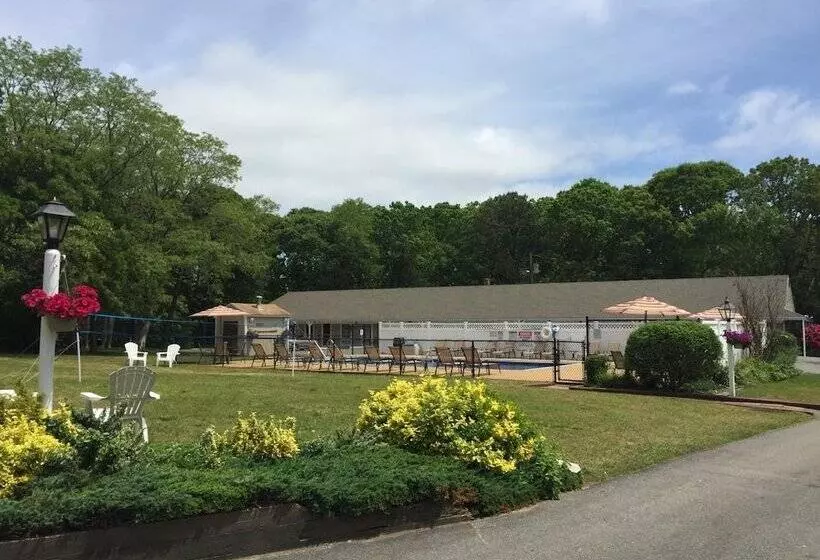 モーテル Viking Shores Motor Inn