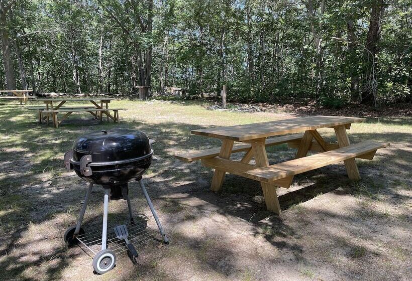 מוטל Viking Shores Motor Inn