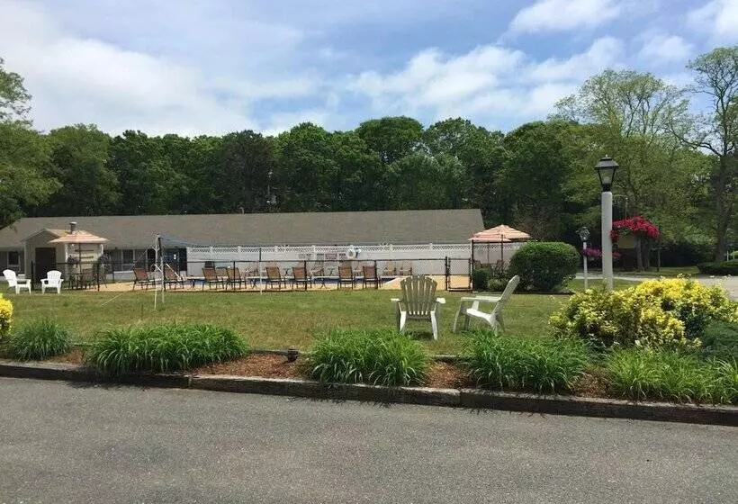モーテル Viking Shores Motor Inn