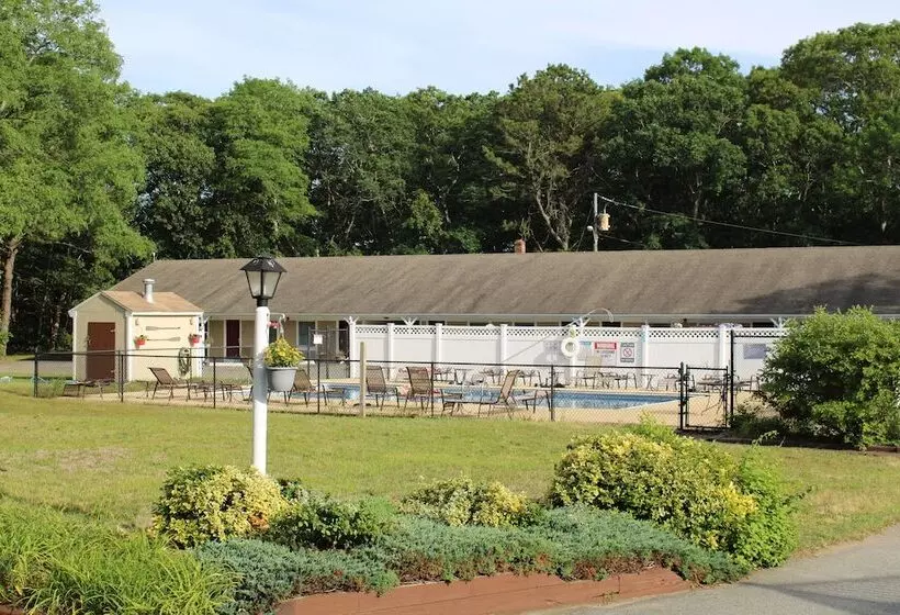 モーテル Viking Shores Motor Inn