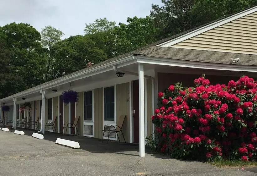 モーテル Viking Shores Motor Inn