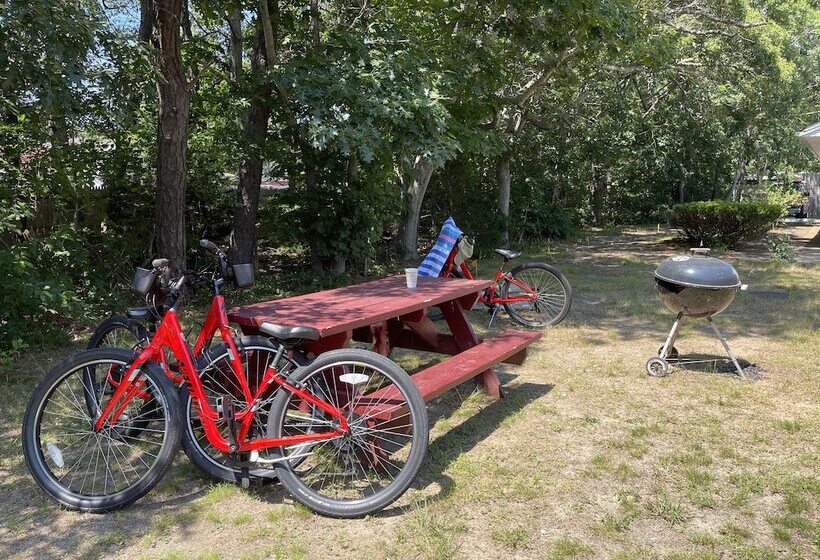 מוטל Viking Shores Motor Inn