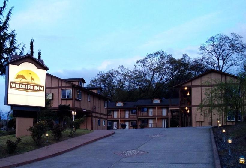 モーテル Wildlife Inn