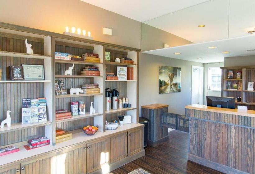 モーテル Wildlife Inn