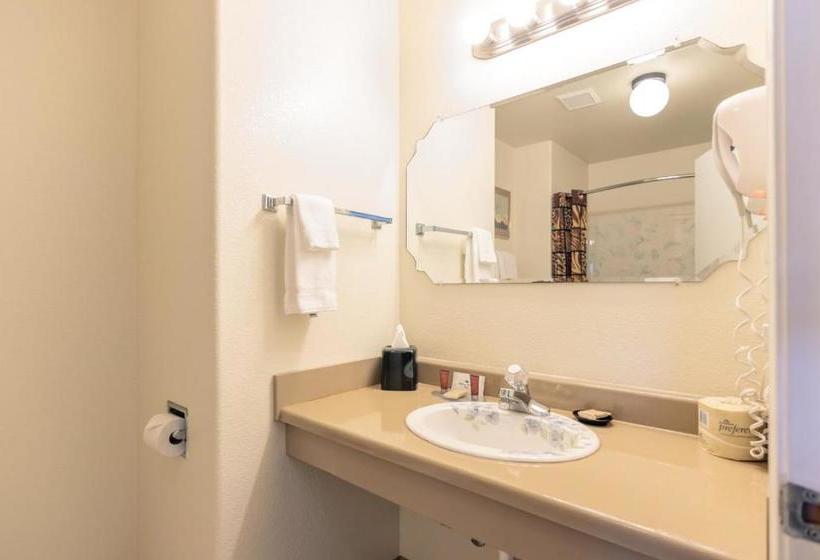 モーテル Wildlife Inn