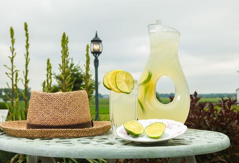 Scottish Bed & Breakfast