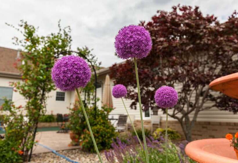 Scottish Bed & Breakfast