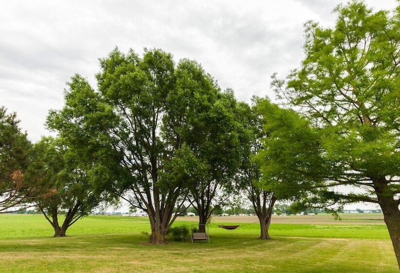 Scottish Bed & Breakfast
