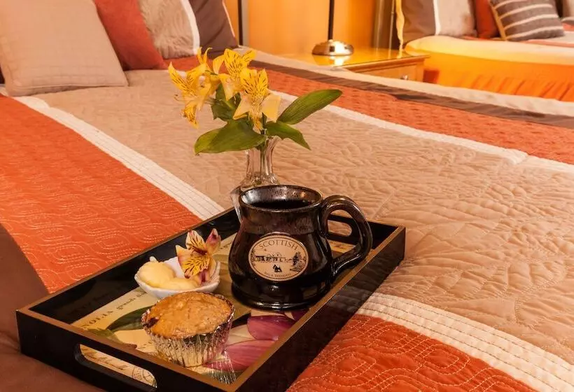 Scottish Bed & Breakfast