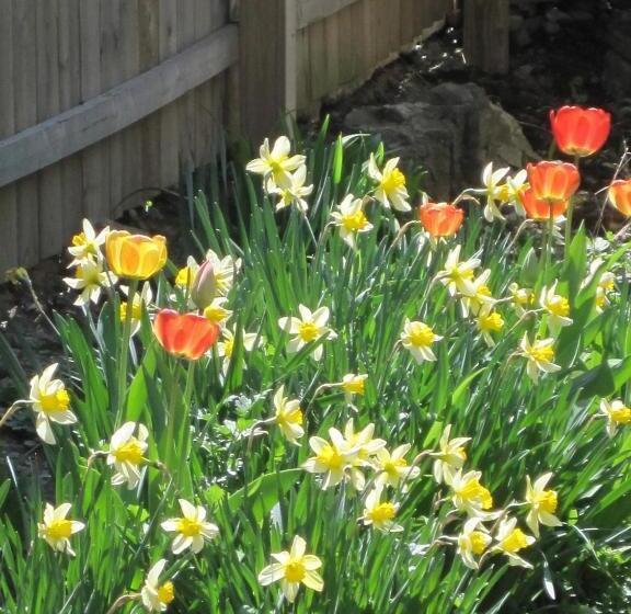 Wanderfalls Guesthouse & Hostel