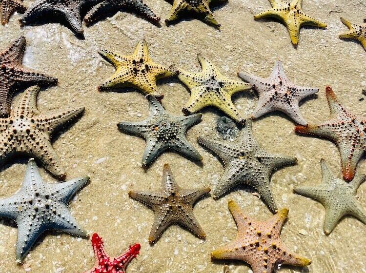 Hotel Morrumbene Beach Resort