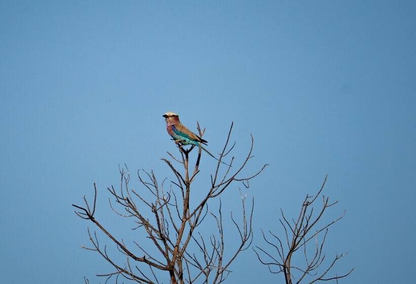 Hotel Morrumbene Beach Resort