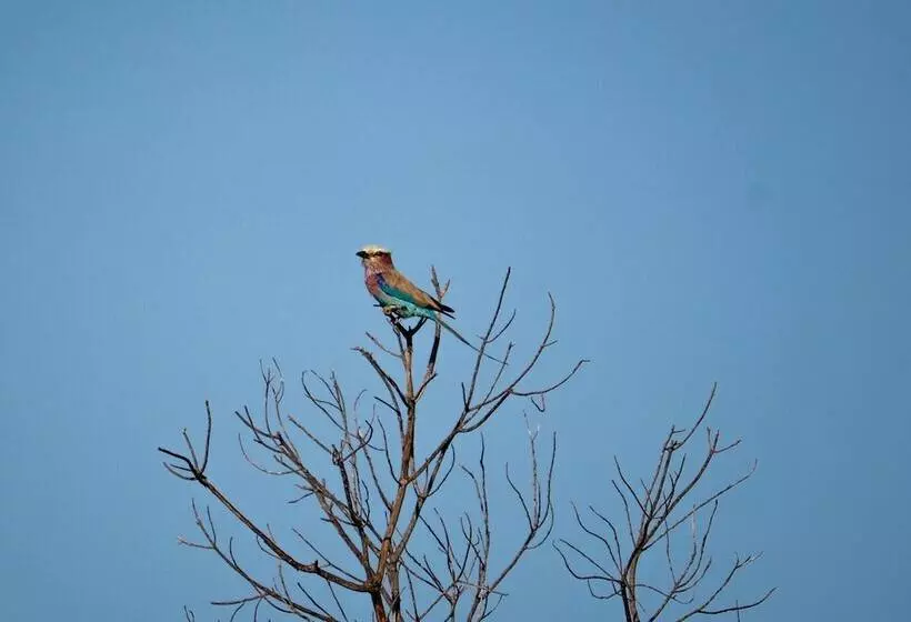 Hotelli Morrumbene Beach Resort