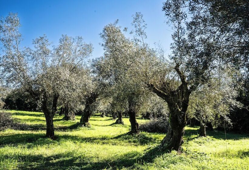 ホテル Gandum Village