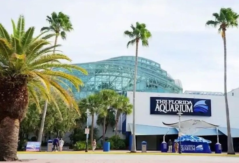 ペンション Amazing House Relax Near Raymond Stadium