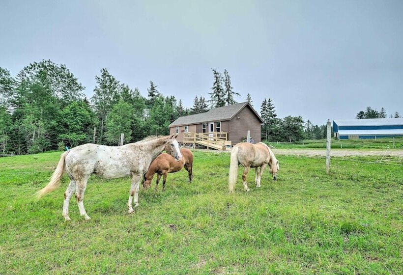 Cherryfield Home W/ Decks On Historic Horse Farm