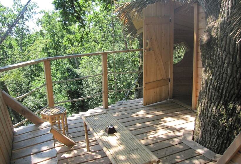 Отель Parc De La Belle