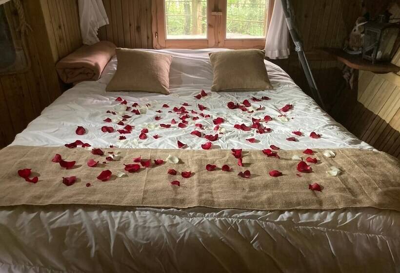 Отель Parc De La Belle