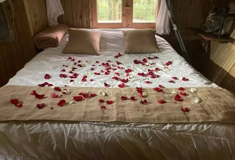 Hotelli Parc De La Belle