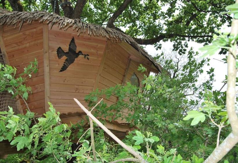 Отель Parc De La Belle