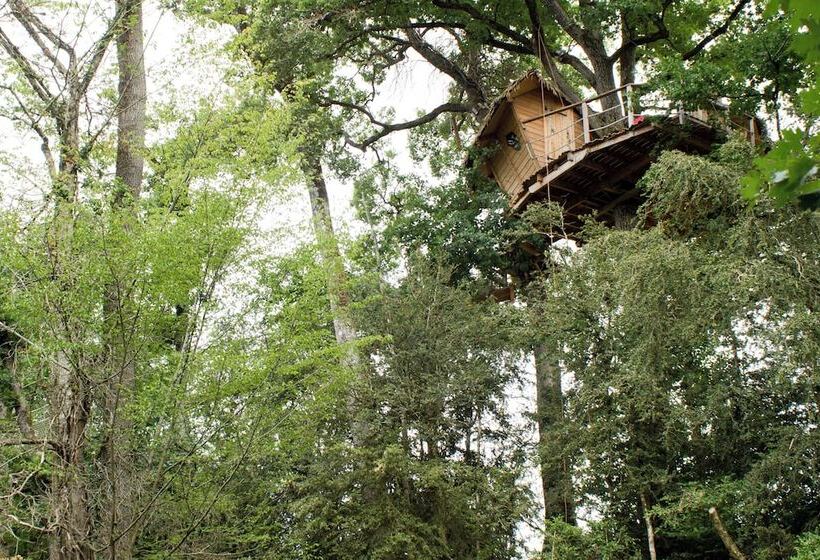 Отель Parc De La Belle