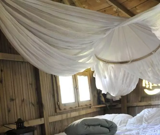 Hotelli Parc De La Belle