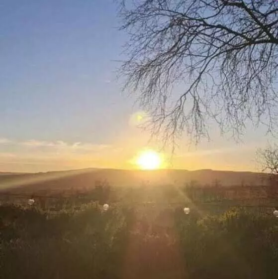 ホテル Luxury Rural Hottub Lodge In Northumberland
