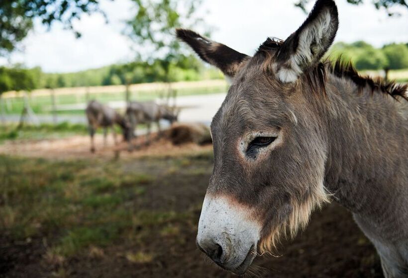 膳宿费 Domaine De Badine