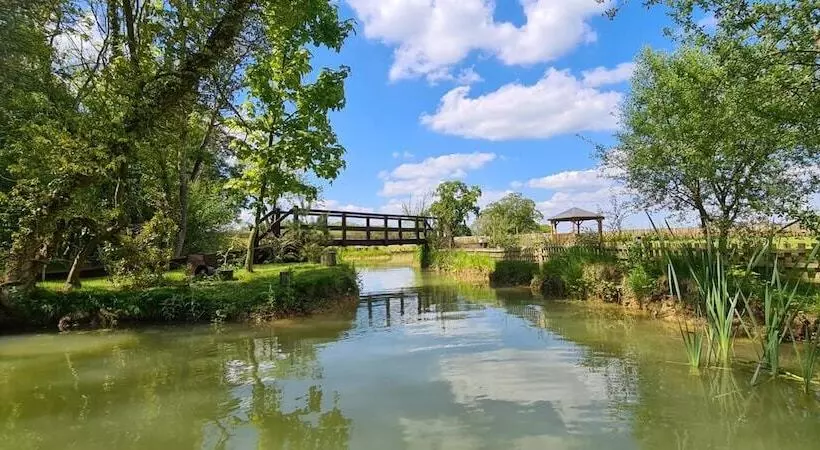 Inviting 1 Bed Cabin In Newmarket