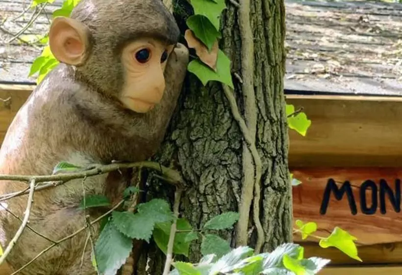 Inviting 1 Bed Cabin In Newmarket