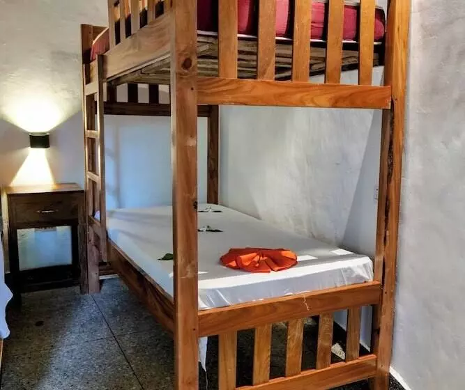 ペンション Lala Land Lodge