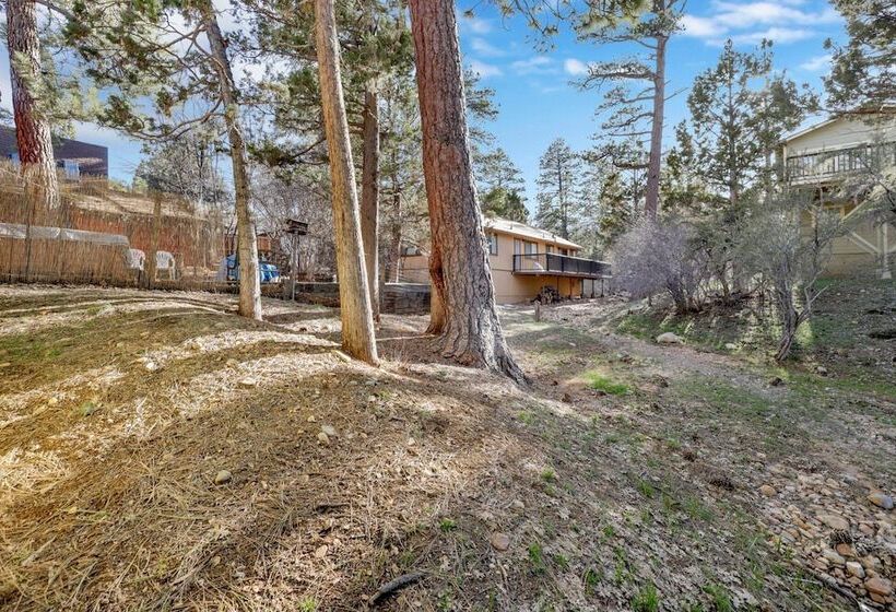 Escape In The Pines #2276