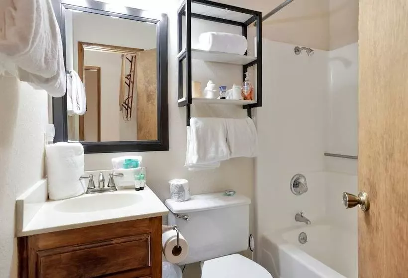 Escape In The Pines #2276