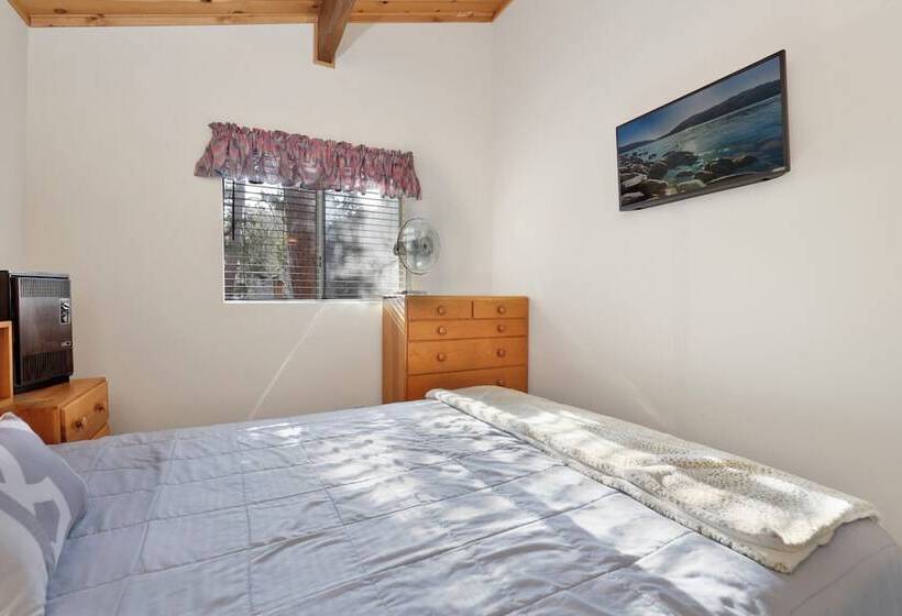 Escape In The Pines #2276