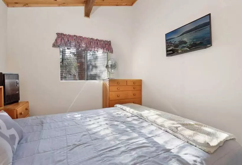 Escape In The Pines #2276