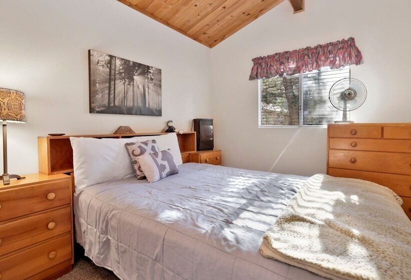 Escape In The Pines #2276