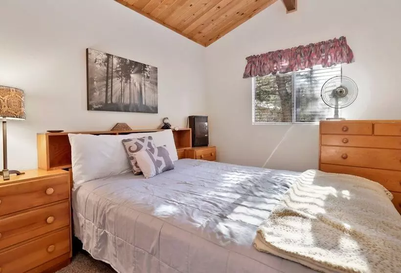 Escape In The Pines #2276