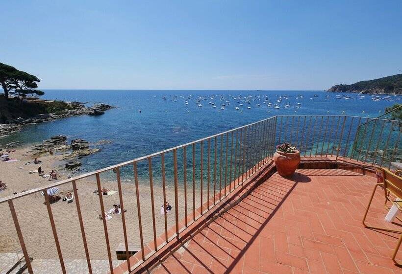 ホテル Casa Concha   Casas