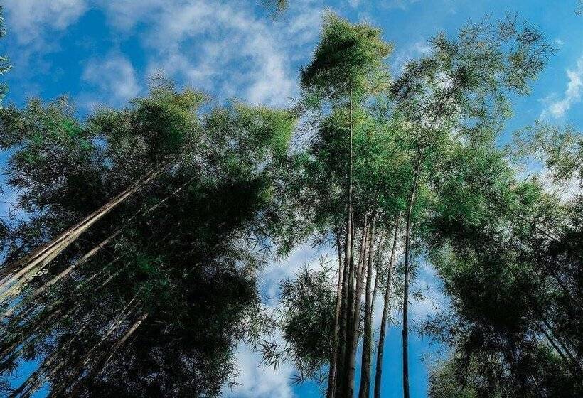 Hotelli Nala View Resort At Pua