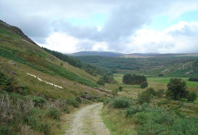 Bed and Breakfast Lough Dan House