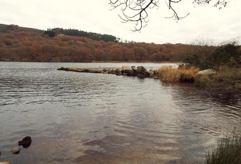 Bed and Breakfast Lough Dan House