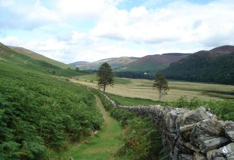 Bed and Breakfast Lough Dan House