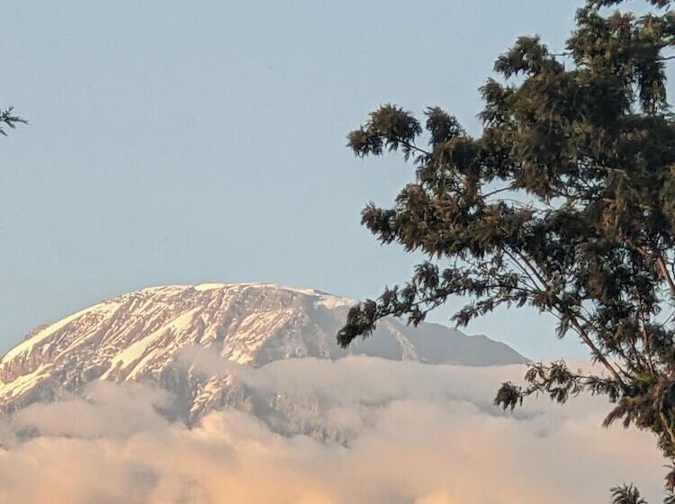 호텔 Diamond Delight Boutique