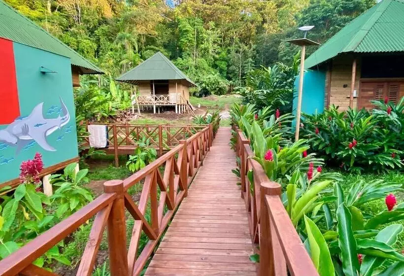 Hotelli Jenené Lodge