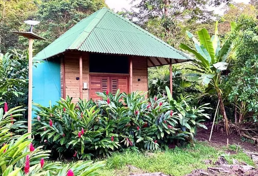 Hotelli Jenené Lodge