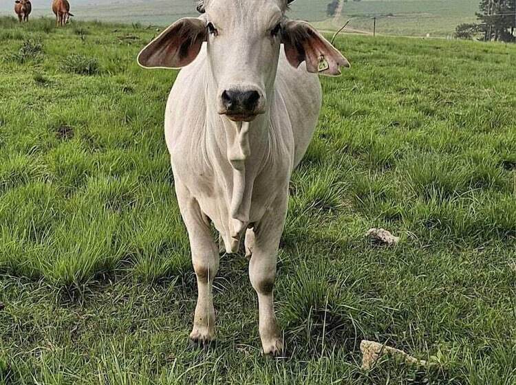 בית מלון כפרי Hagar Lodge